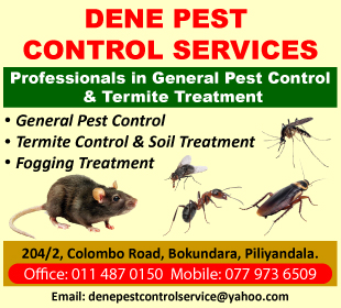 Dene Pest Control Services