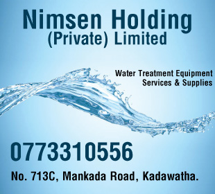 Nimsen Holding (Private) Limited