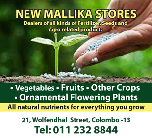 New Mallika Stores