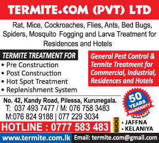 Termite Com (Pvt) Ltd