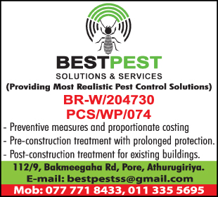 Best Pest Solutions and Services