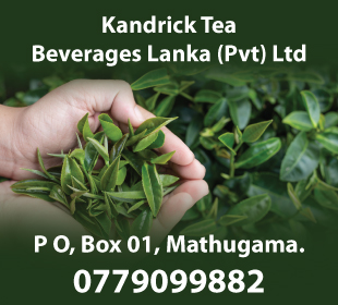 Kandrick Tea Beverages Lanka (Pvt) Ltd