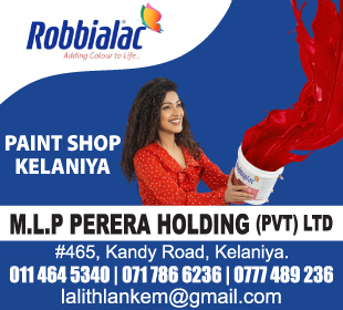 M L P Perera Holding (Pvt) Ltd