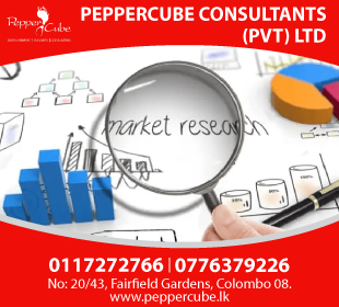 Peppercube Consultants (Pvt) Ltd