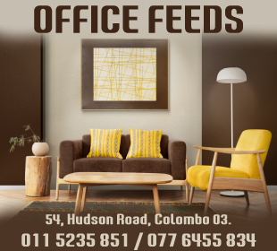 Office Feeds