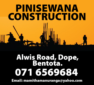 Pinisewana Construction