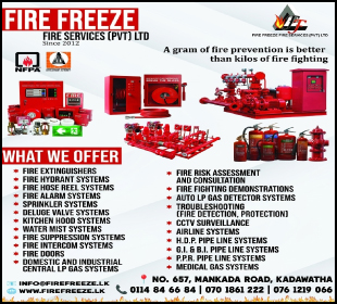Fire Freeze Fire Services