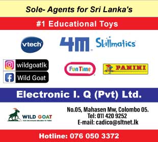 Electronic I Q (Pvt)Ltd