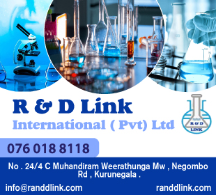R & D Link International (Pvt) Ltd
