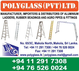 Poly Glass (Pvt) Ltd - Ladders