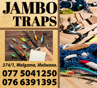 Jambo Traps