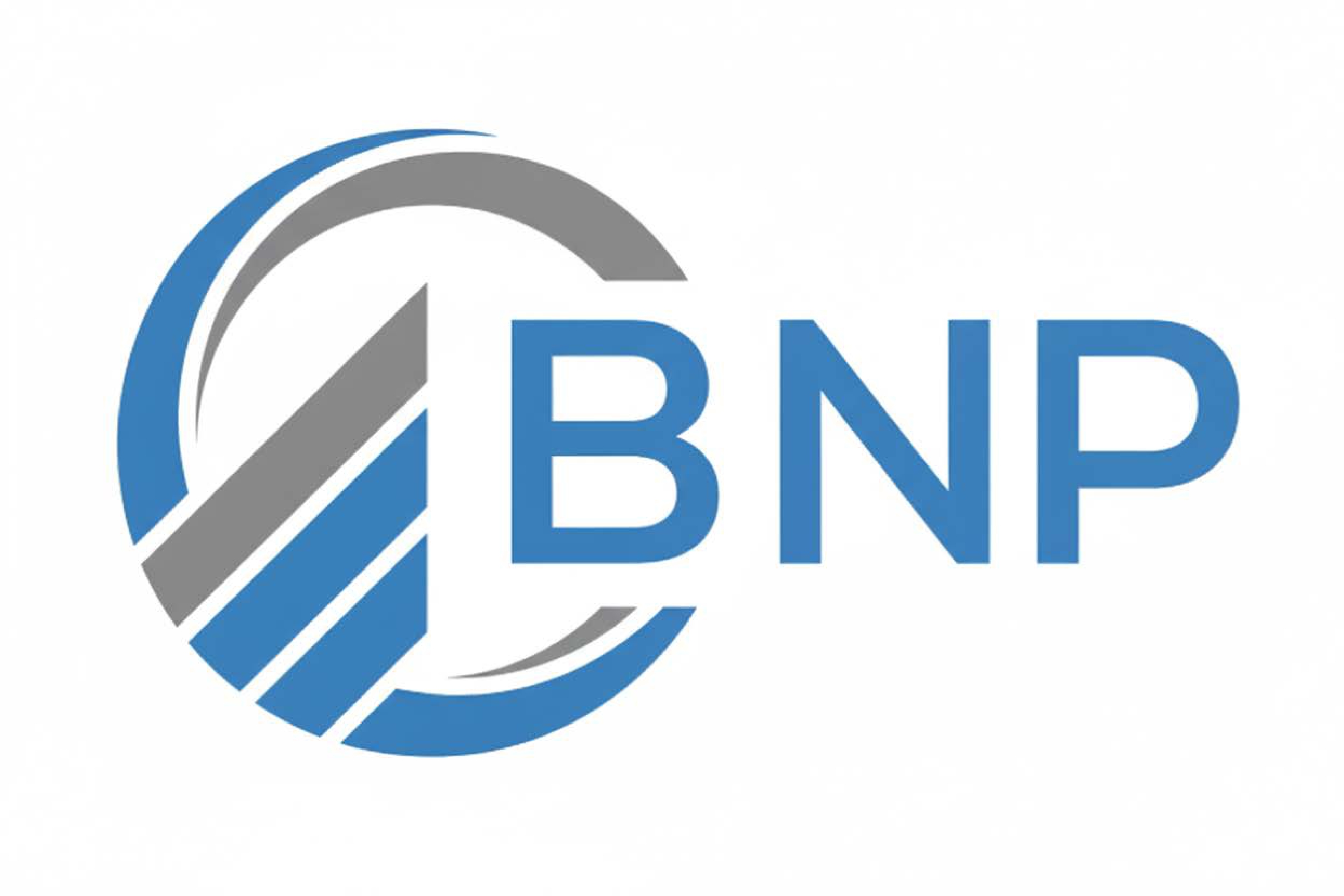 B N P Premier Holdings (Pvt) Ltd
