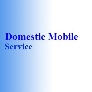 Domestic Mobile Service