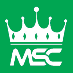 Mehan Steels Company (Pvt) Ltd
