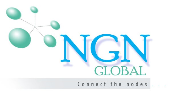 N G N Global (Private) Limited