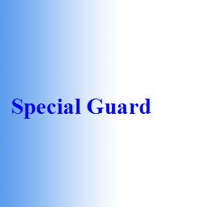 Special Guard