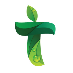 Totalplan International