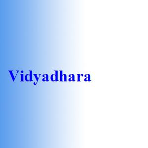 Vidyadhara