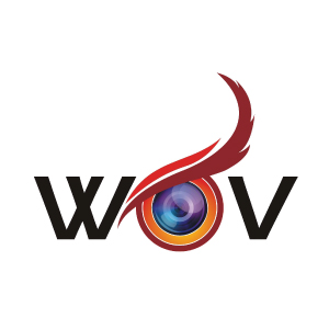 Wov Security Solutions