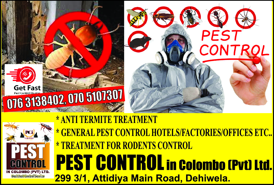 advertisement