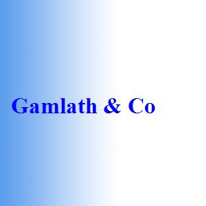 gamlath_co_Automobile.lk